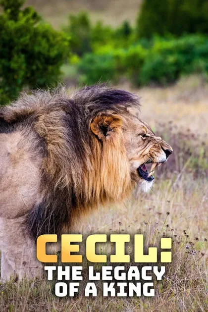 Фильм Сесил: Наследие короля (2020)