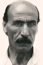 Йосси Шиллоах