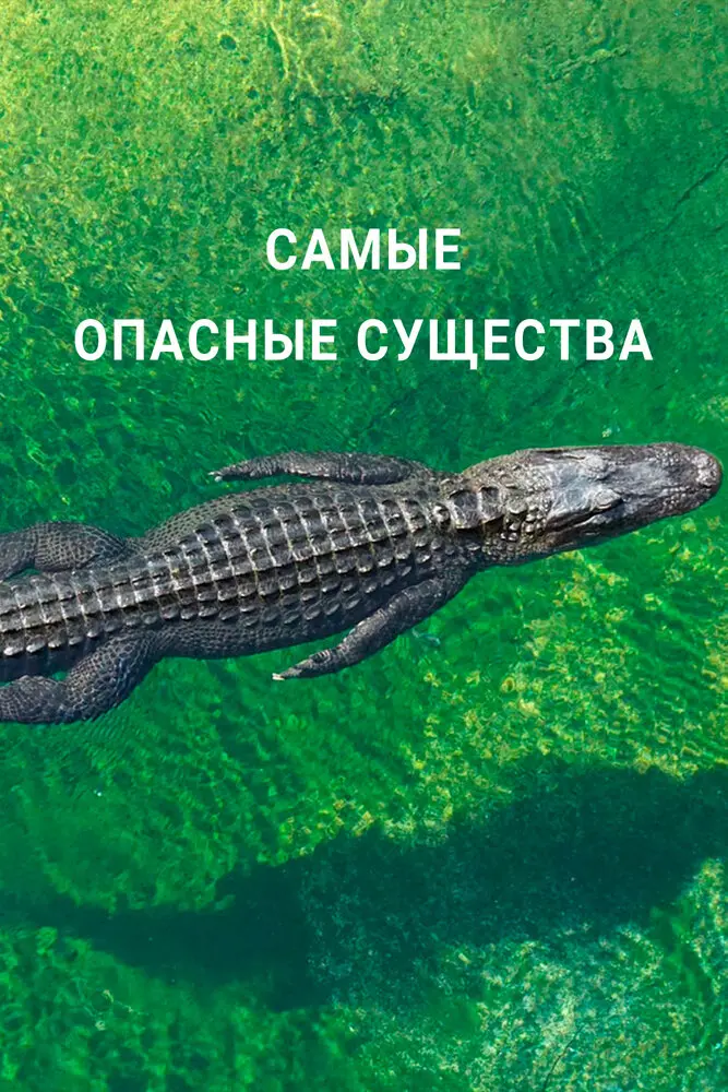 Смотреть Самые опасные существа