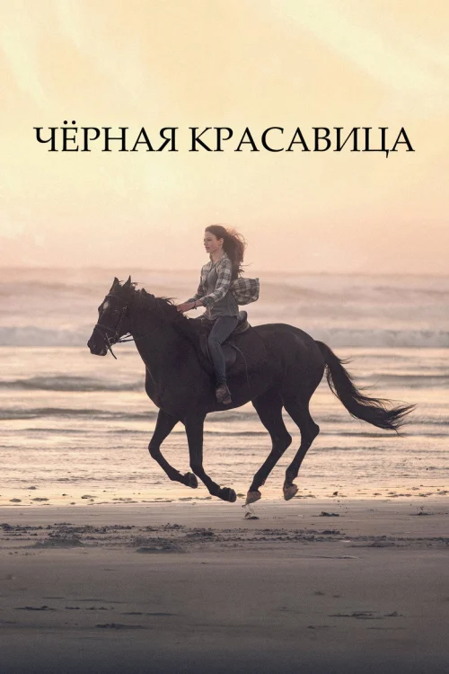 Чёрная Красавица