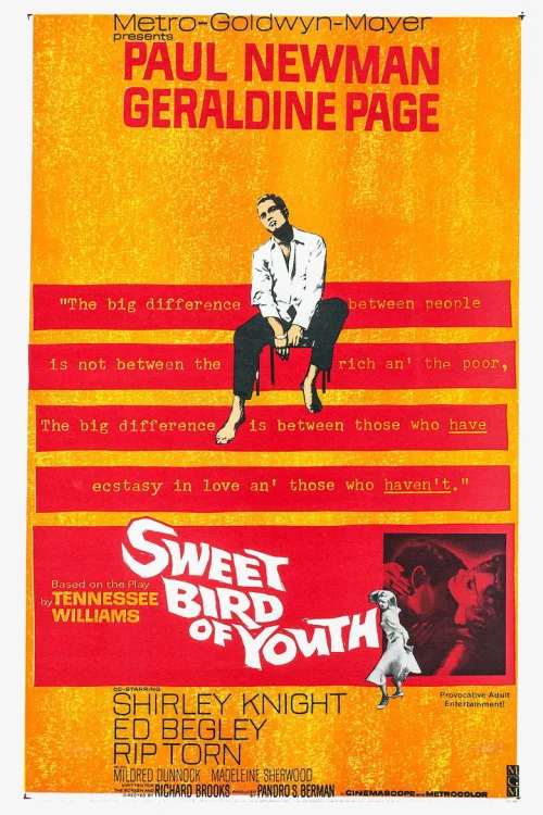 Сладкоголосая птица юности (1962)