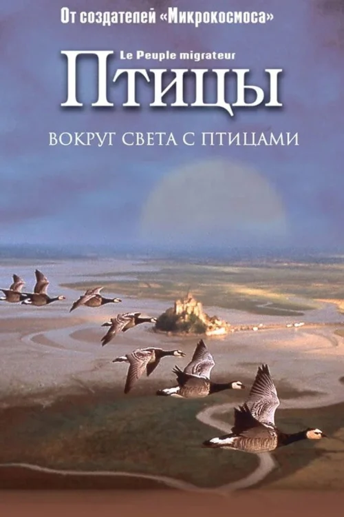 Птицы (2001)