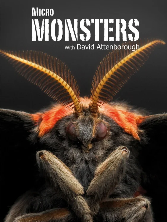 Микромонстры 3D с Дэвидом Аттенборо (2013)