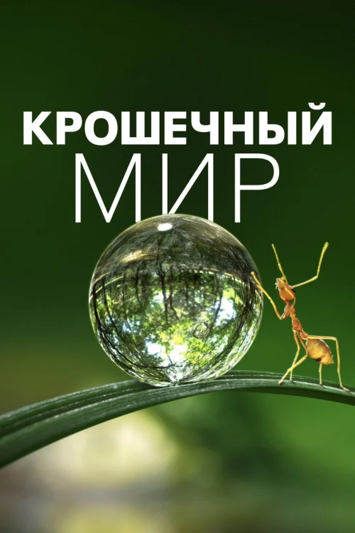 Крошечный мир (2020) Смотреть Крошечный мир
