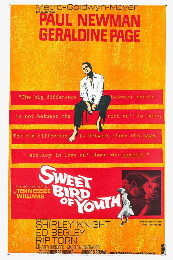 Сладкоголосая птица юности (1962)