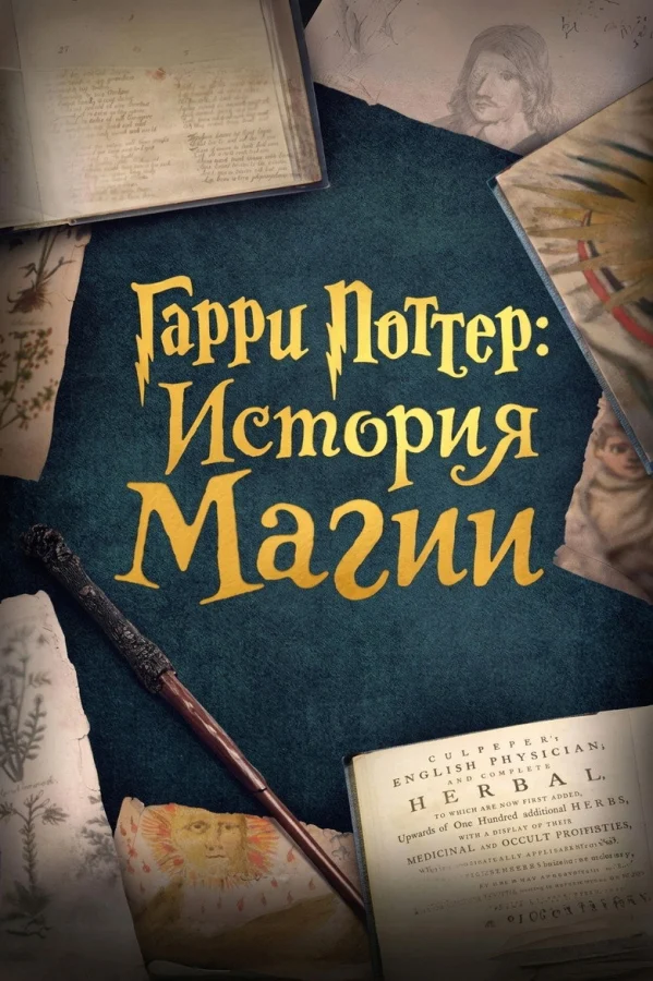 Гарри Поттер: История магии (2017)